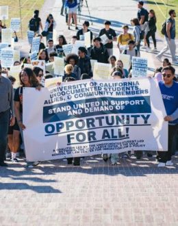 California Opened the Door to College for Undocumented Students. But How Long Will They Keep Walking Through It?