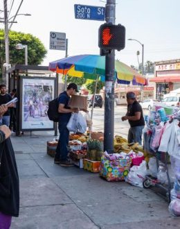 Can South Los Angeles Become the Most Influential Latino Political Region in Los Angeles?