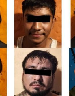 Federal Forces Arrest Alleged Cartel Operatives in Week of Sinaloa Operations