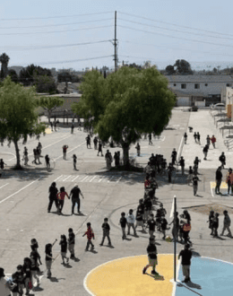 LAUSD Enrollment Keeps Falling. What Does It Mean for Your Child’s School?