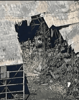Lineage Fire: What Los Angeles and California Have Done and What Happens Next