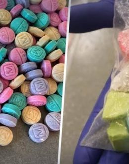 White House warns of rise in fentanyl analogues in illegal drugs; carfentanil is 100 times more potent