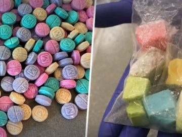 White House warns of rise in fentanyl analogues in illegal drugs; carfentanil is 100 times more potent