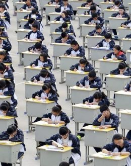 It’s the Education, Stupid: How China Topped the PISA Rankings in Math and Science