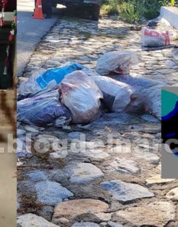 Government confirms dismembered body found in Guerrero belongs to National Guard member who confessed to commanders’ collusion with “Los Tlacos”