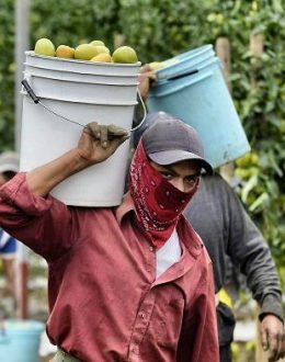 Labor Day in California: When Working Hard Still Isn’t Enough
