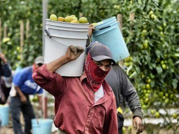Labor Day in California: When Working Hard Still Isn’t Enough