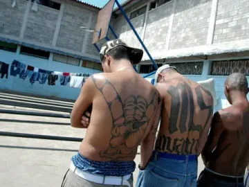 Four Salvadoran MS-13 gang members arrested after chase; Guatemala surpasses 50 such individuals processed this year