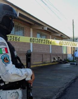 The harrowing death toll of children killed in Sinaloa since the war between “Los Chapos” and “Los Mayos”: nearly 200