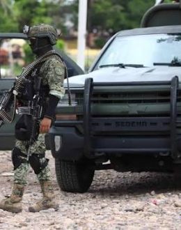 What is known about “La Venada”, the alleged new leader of the Los Reyes Cartel after the fall of the “R5”