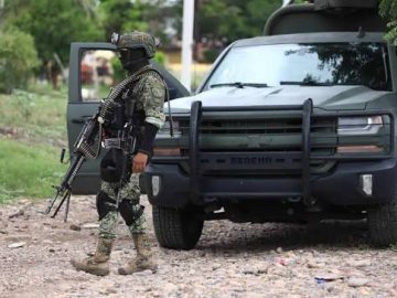 What is known about “La Venada”, the alleged new leader of the Los Reyes Cartel after the fall of the “R5”