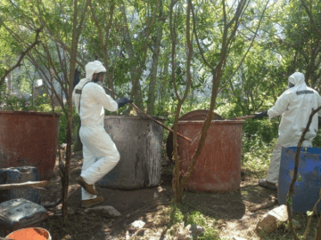 Federal Operation Dismantles Methamphetamine Laboratory in Durango