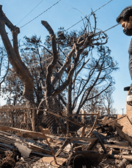 Nearly 1 in 3 LA Adults Exposed to Wildfires Report Mental-Health Harm