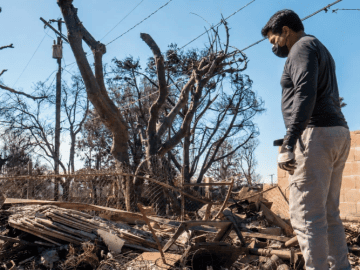 Nearly 1 in 3 LA Adults Exposed to Wildfires Report Mental-Health Harm