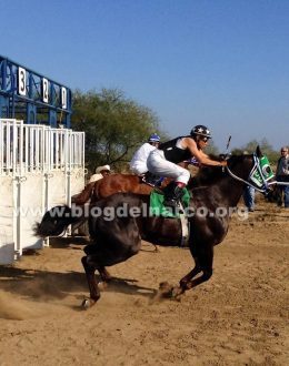 US authorities expose Cartel del Noreste’s money laundering scheme involving Quarter Horses and the Club La Molienda equestrian center