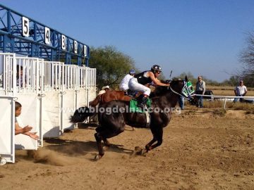 US authorities expose Cartel del Noreste’s money laundering scheme involving Quarter Horses and the Club La Molienda equestrian center