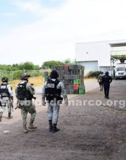Hitmen stormed an avocado packing plant in Salvador Escalante, Michoacán, and executed three employees, including a 15-year-old minor.