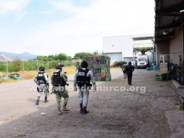 Hitmen stormed an avocado packing plant in Salvador Escalante, Michoacán, and executed three employees, including a 15-year-old minor.